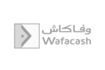 logosgrisesMNTpartner-wafacash