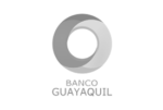 logosgrisesMNTpartner-bancoguayaquil